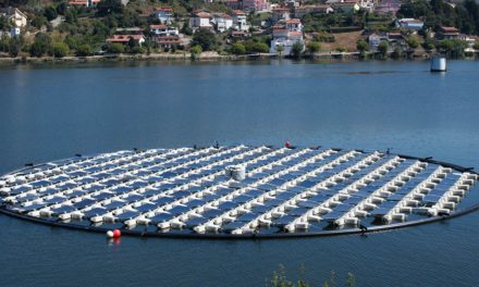 Olanda, parco solare galleggiante<h2 class='anw-subtitle'>La novità progettata da un'azienda portoghese permette di produrre quasi il 40% in più di altri impianti fotovoltaici</h2>