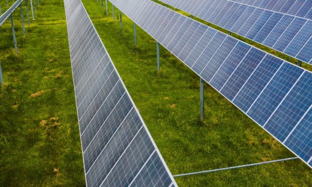 Coselag verso la pianificazione energetica. Trieste Net Zero