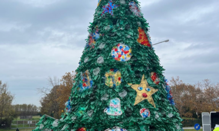 A Muggia posizionato l’albero di Natale di SCART