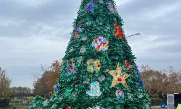 A Muggia posizionato l’albero di Natale di SCART