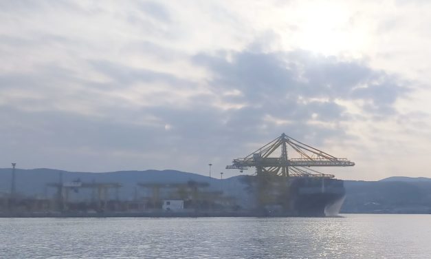 Dati porti Trieste e Monfalcone primo semestre 2025