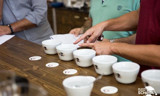 Imperator presenta CappSter